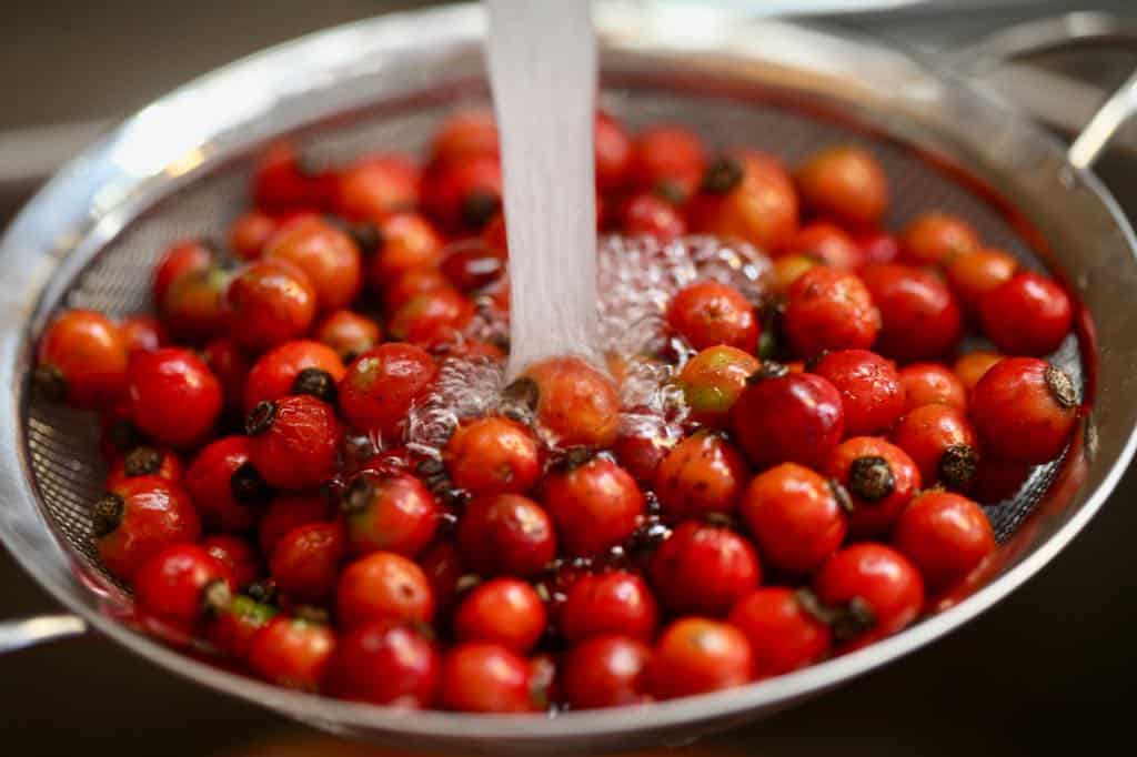 washing rose hips in a sieve