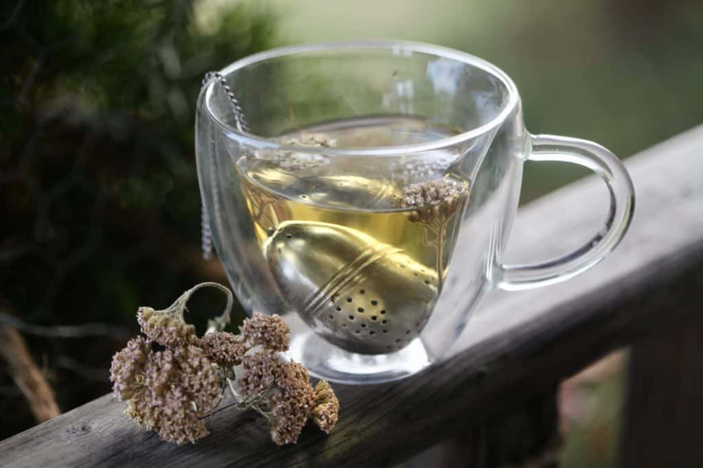 a cup of steeping yarrow tea