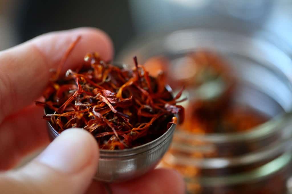 a hand holding a tea ball filled with dried calendula petals