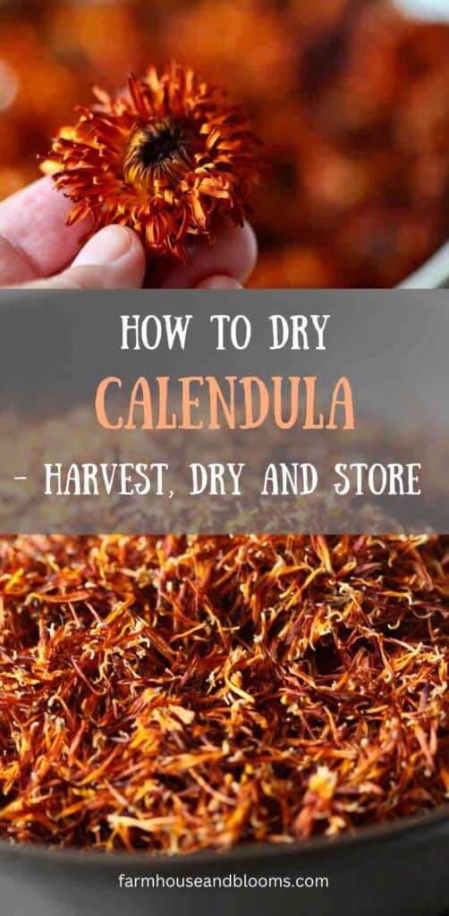 how to dry calendula pinterest pin