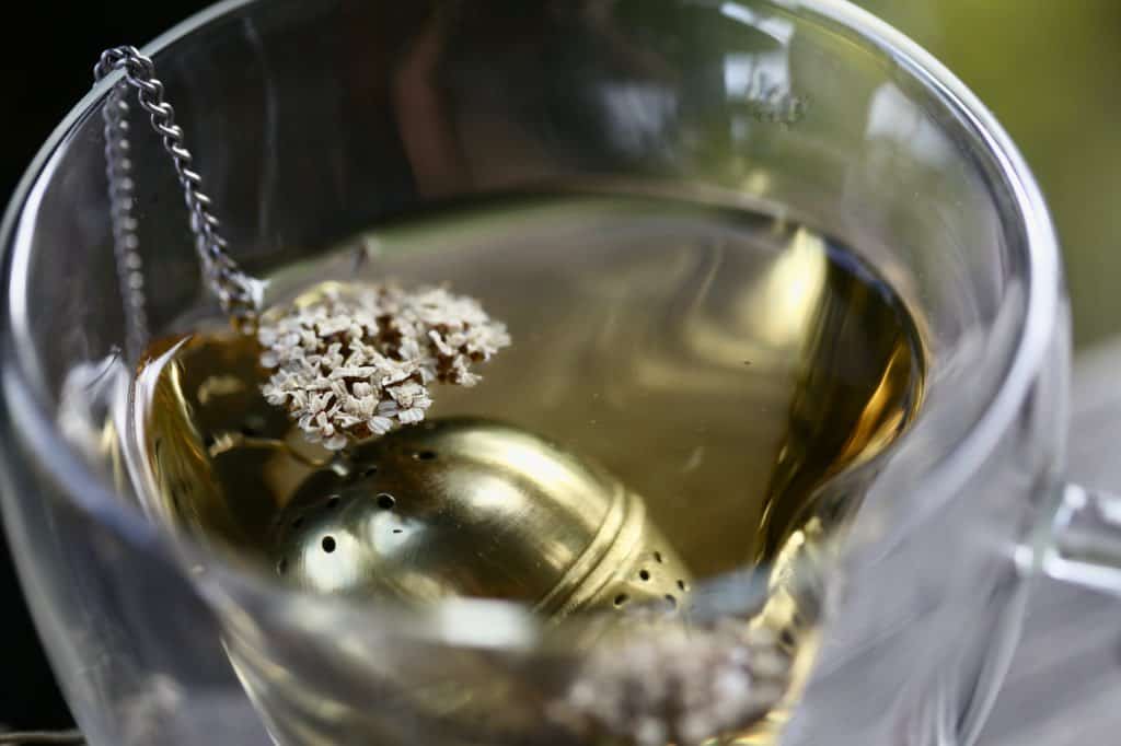 yarrow tea in a teacup