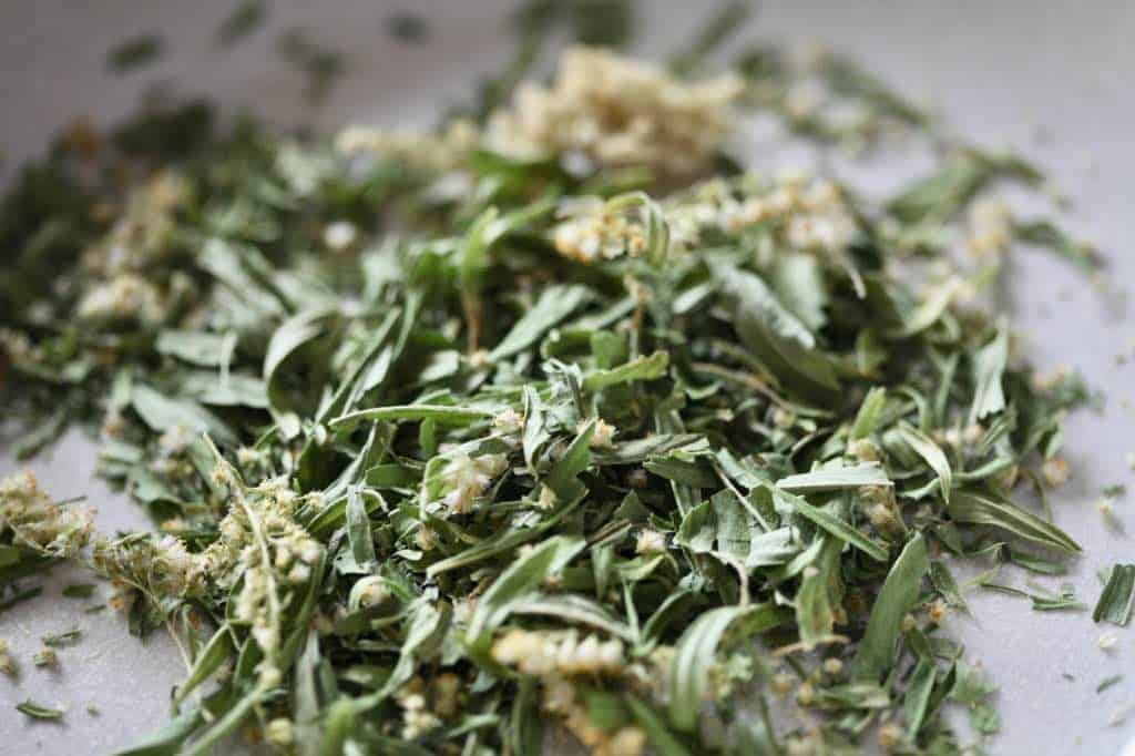 dried goldenrod leaves and flowers