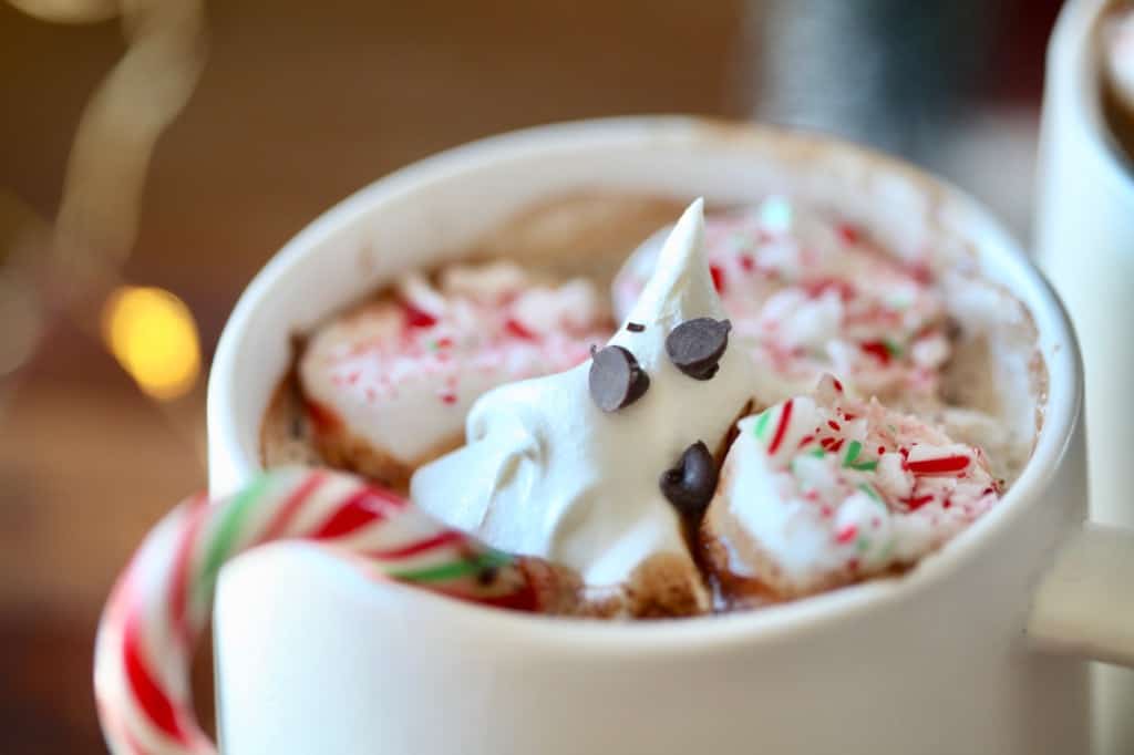 a mug of hot chocolate topped with peppermint candy cane, chocolate chips, and whipped cream