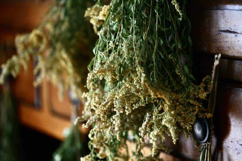 dried goldenrod, hanging on a hutch