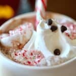 a mug of hot chocolate with whipped cream, chocolate chips, peppermint crunch marshmallows, and a candy cane