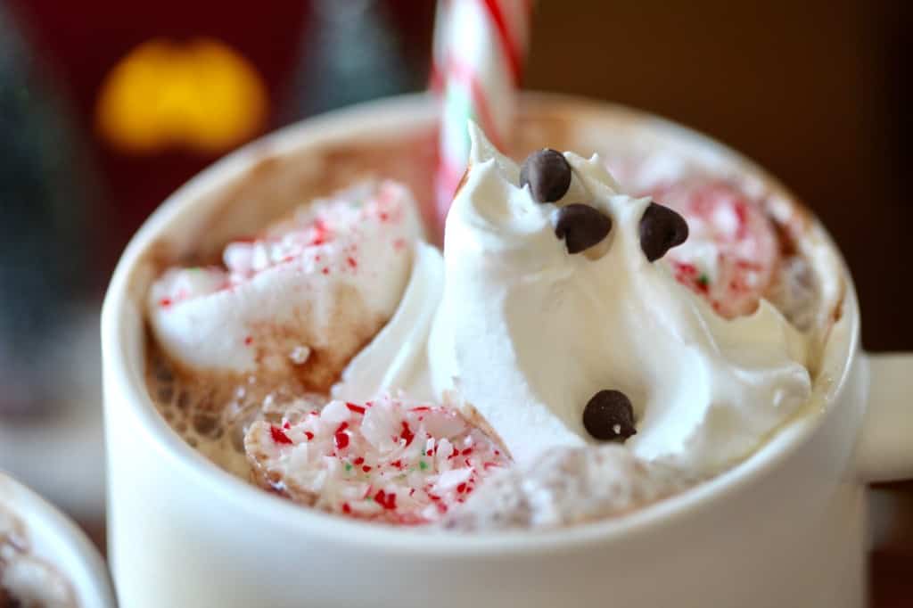 hot chocolate with chocolate chips and peppermint marshmallows