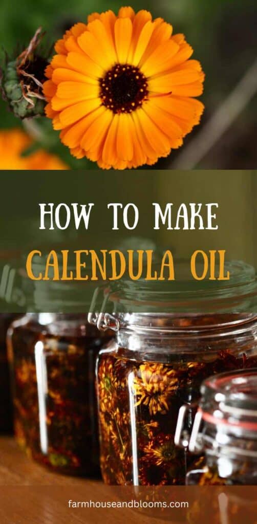 how to make calendula oil- pinterest pin