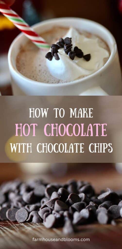 how to make hot chocolate with chocolate chips- pinterest pin
