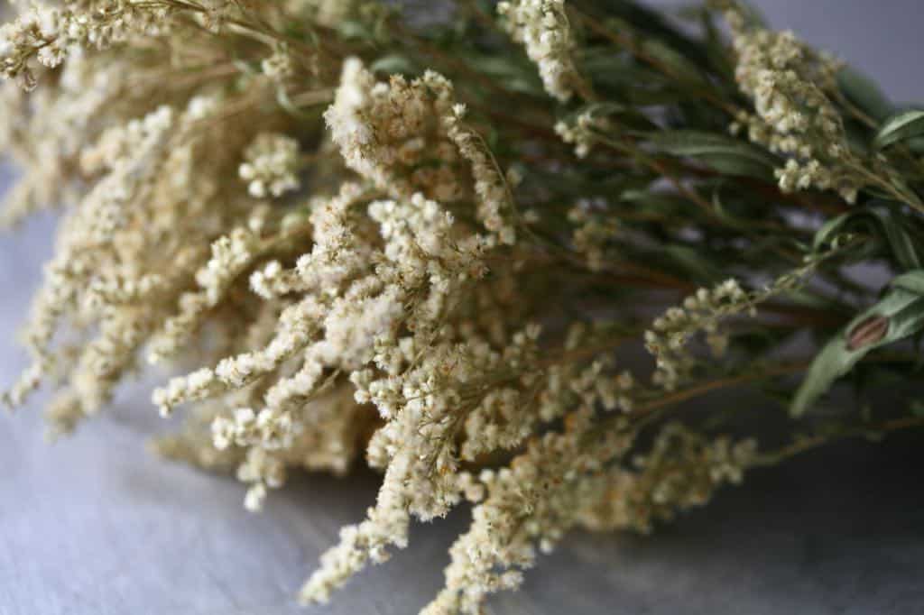 dried flowers which have become lighter and fluffy in appearance