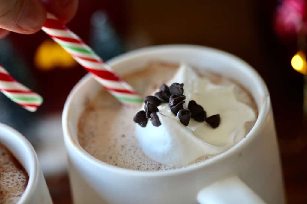 a cup of hot chocolate with whipped cream, chocolate chips, and a candy cane