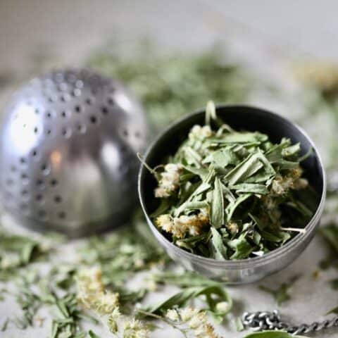 a tea ball filled with dried goldenrod for goldenrod tea