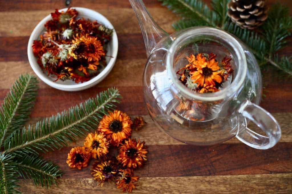 calendula tea ingredients, including dry calendula flowers, in a glass teapot