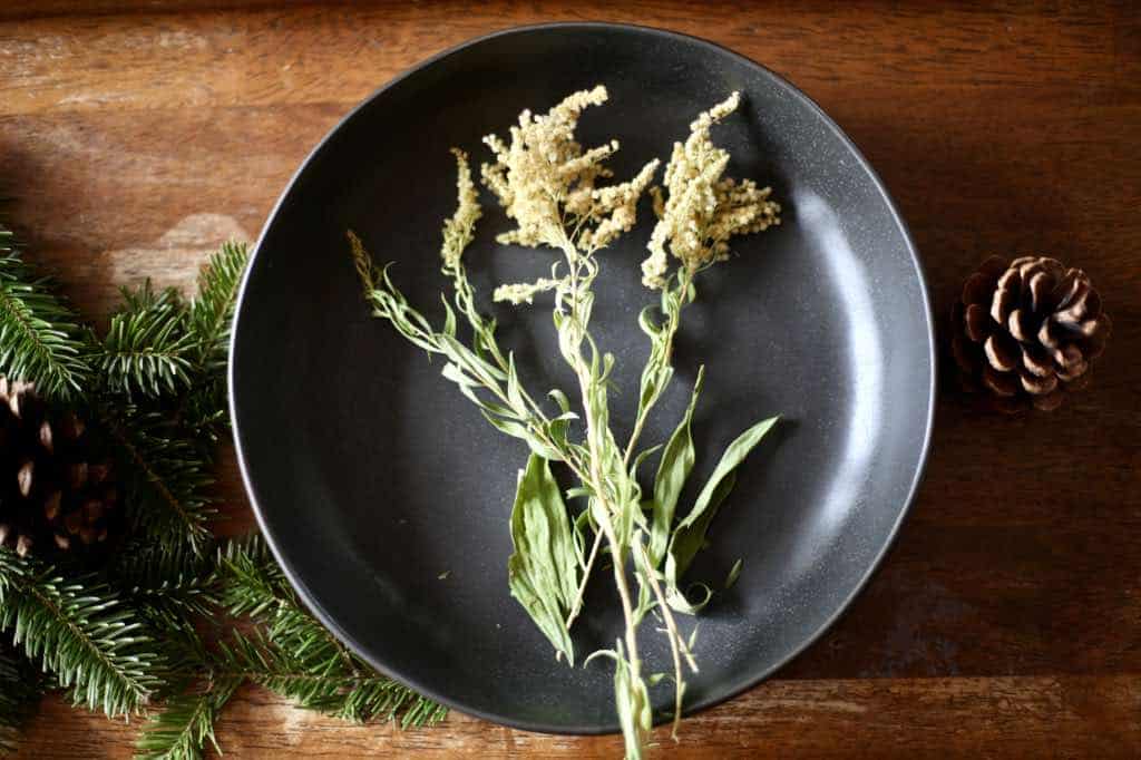 dried goldenrod flowers and leaves, in a black bowl