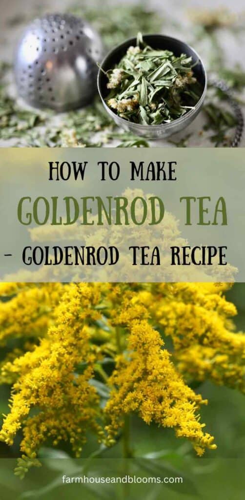 goldenrod tea recipe- pinterest pin