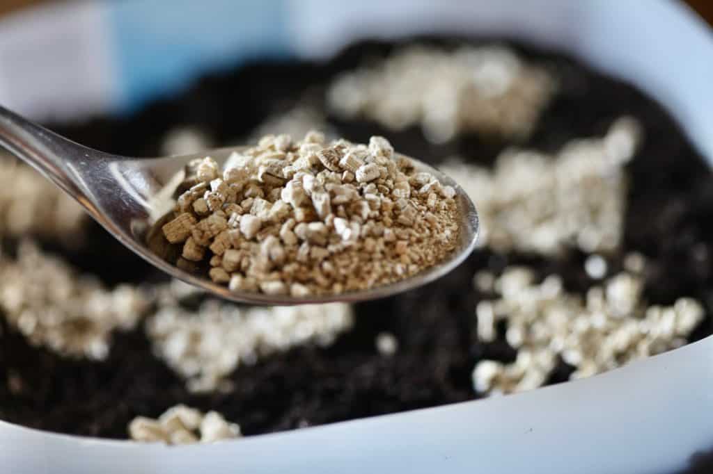 a spoon holding vermiculite, with a winter sown container in the background