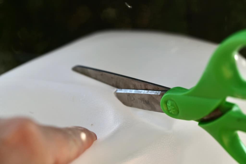 cutting a recycled jug in half with scissors, for winter sowing