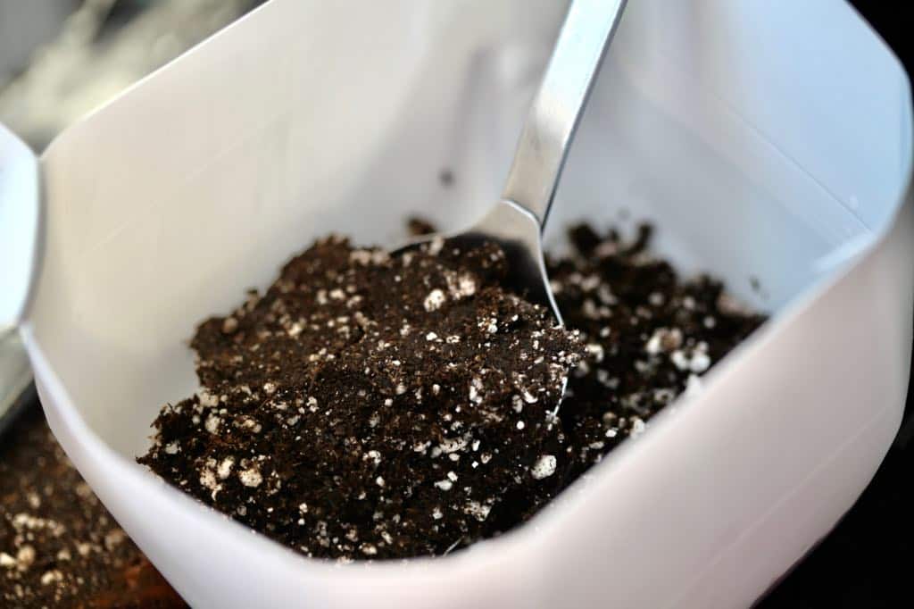 filling the bottom half of a milk jug with seed starting medium