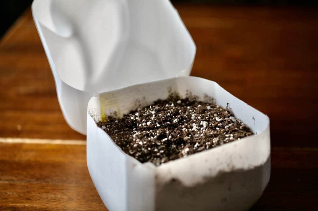 bottom half of a white milk jug filled with potting soil