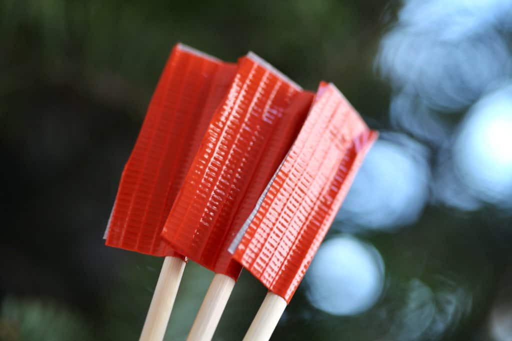 homemade plant labels with skewers and duct tape