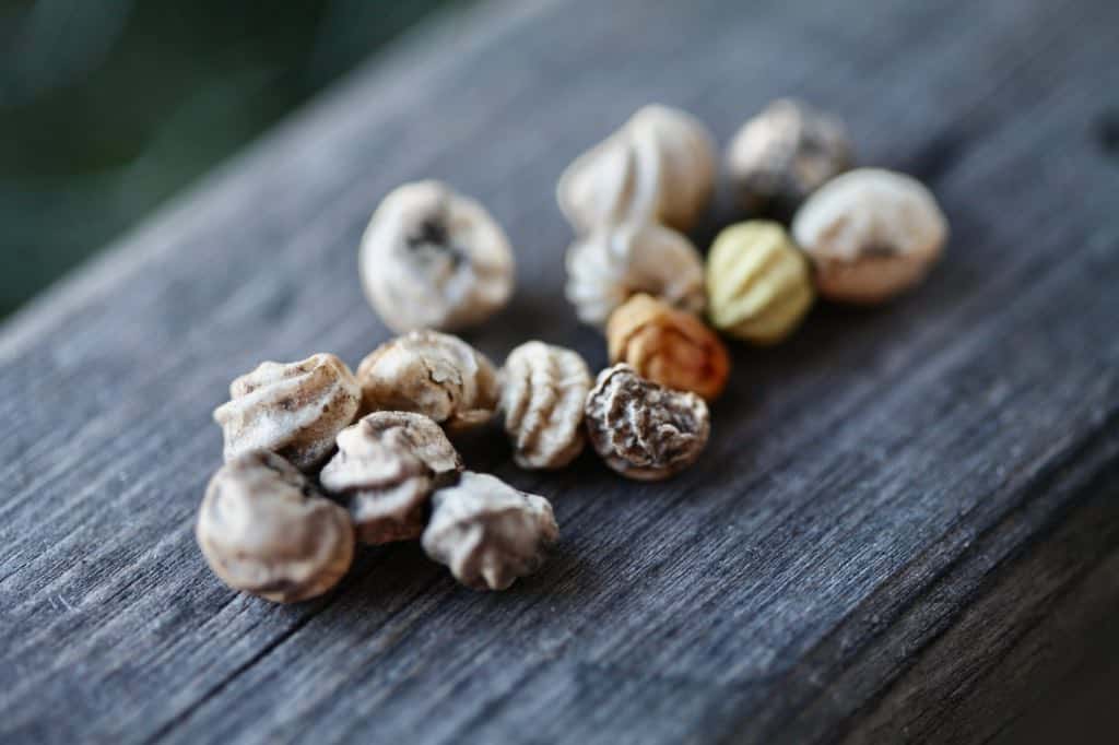 nasturtium seeds on a wooden railing