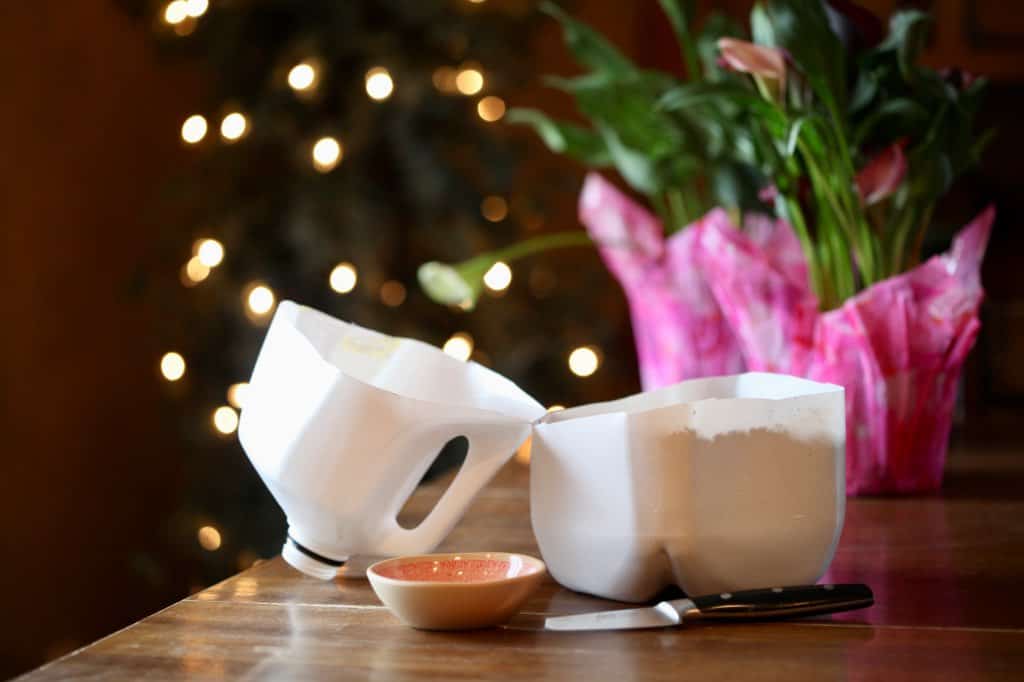 winter sowing in a milk jug