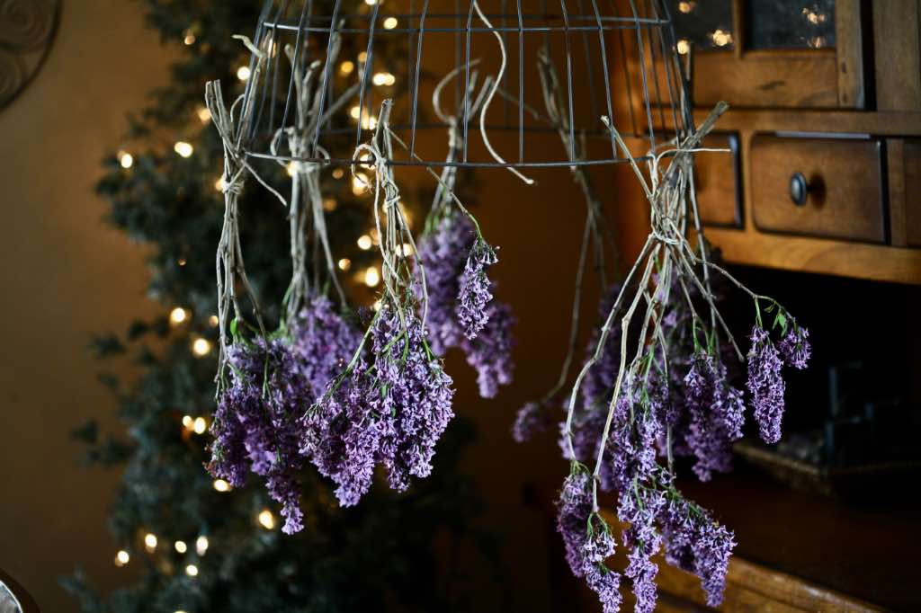 air drying lilac flowers by hanging upside down