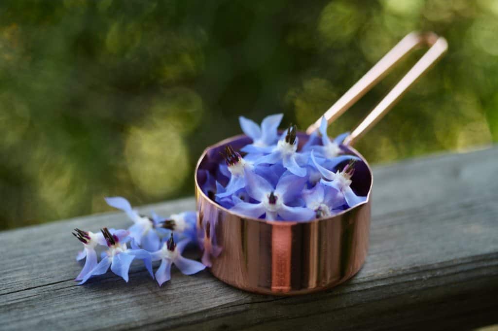 blue borage flowers in a copper measuring cup