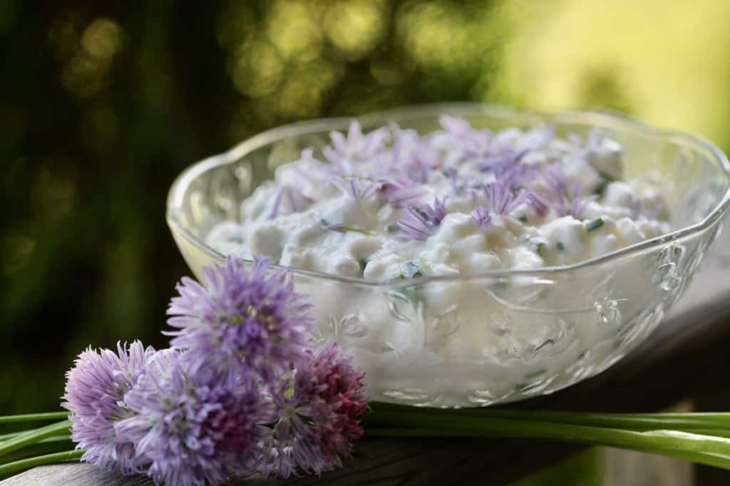 chive blossoms and cottage cheese in a bowl garnished with blossoms