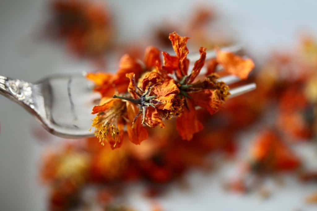 dried sulphureus flowers on a silver fork, for culinary use