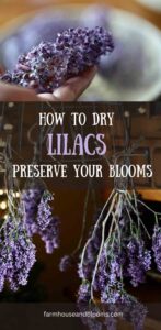How To Dry Lilacs- Preserve Your Blooms - Farmhouse & Blooms