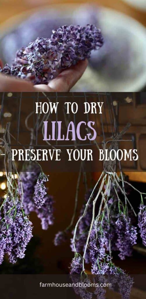 how to dry lilacs- pinterest pin