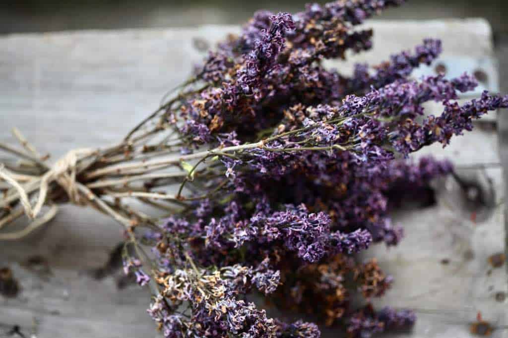 lilacs dried by air drying, on a wooden box