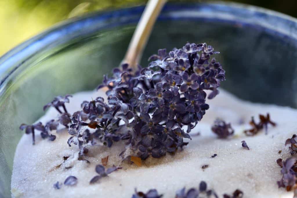 removing a lilac from silica gel