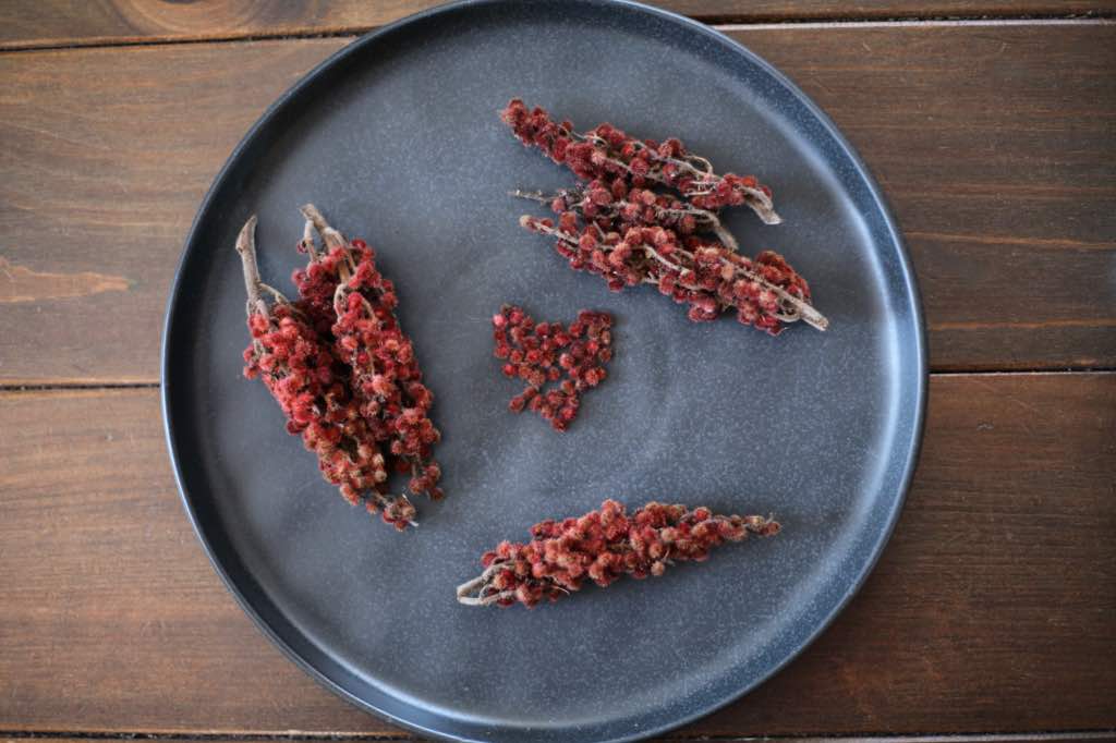 a black plate with sumac berry clusters