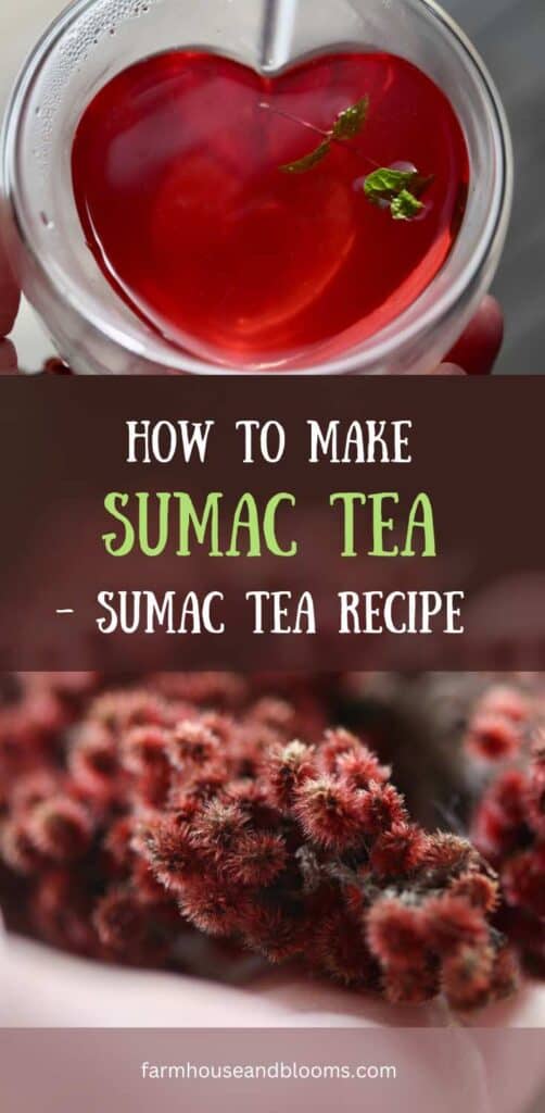 Sumac Tea Recipe- pinterest pin