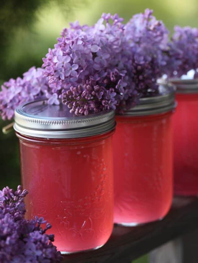 Making Lilac Jelly To Preserve The Taste Of Spring