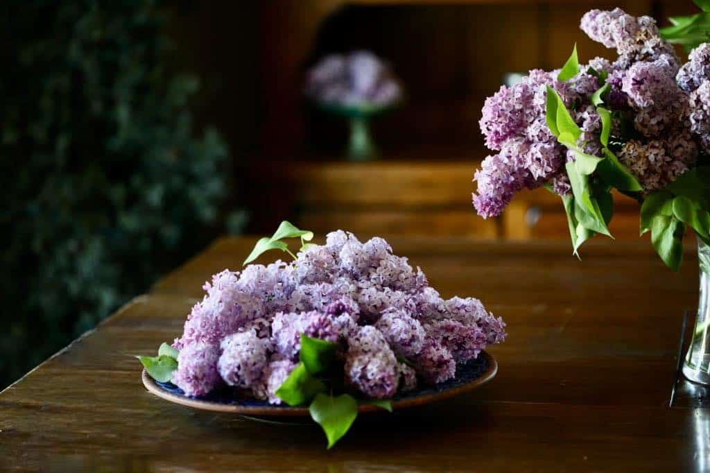 lilac flowers on a plate, and also in a vase on a wooden table