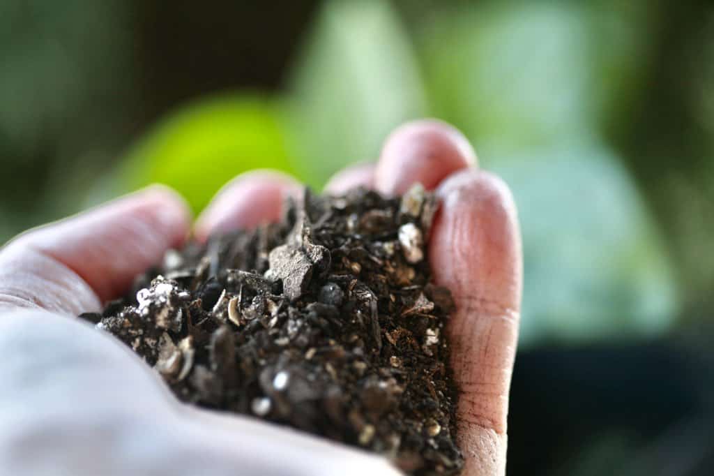 a hand holding a handful of mulch