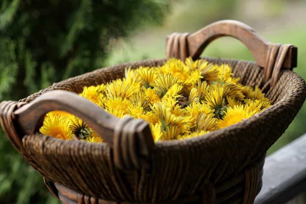 a brown basket with yellow blooms and a green tree in the background