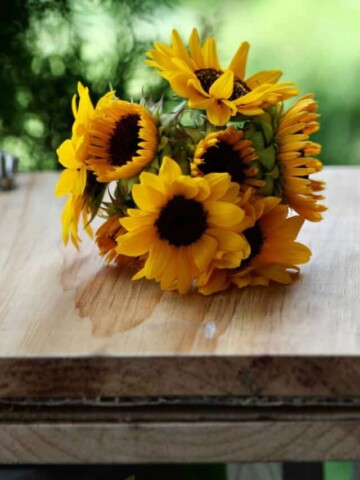 sunflowers on a diy flower press