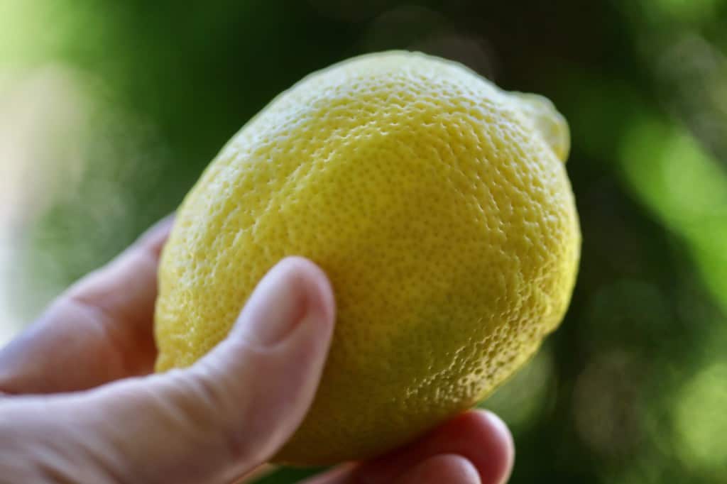 a hand holding a yellow lemon against a blurred green background