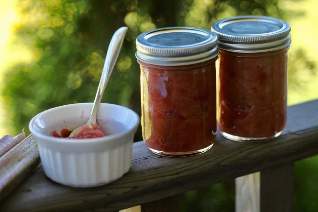 two mason jars of rhubarb jam on a railing next to a white bowl with a spoon and jam, against a blurred green background