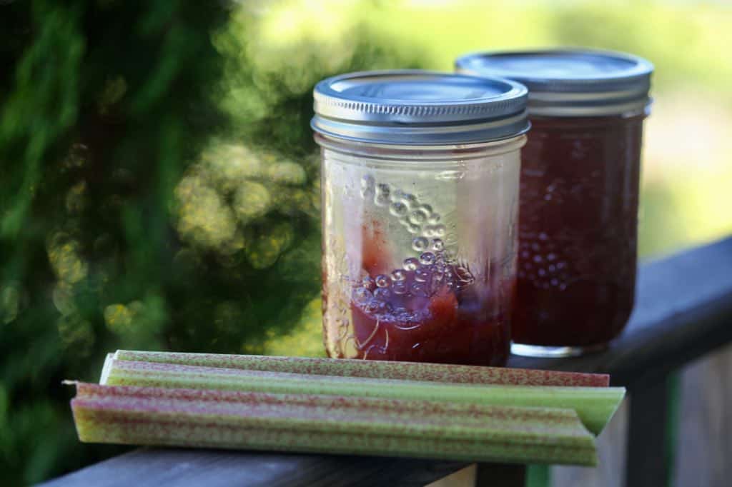 two mason jars containing rhubarb jam on a wooden railing , next to some pieces of raw rhubarb