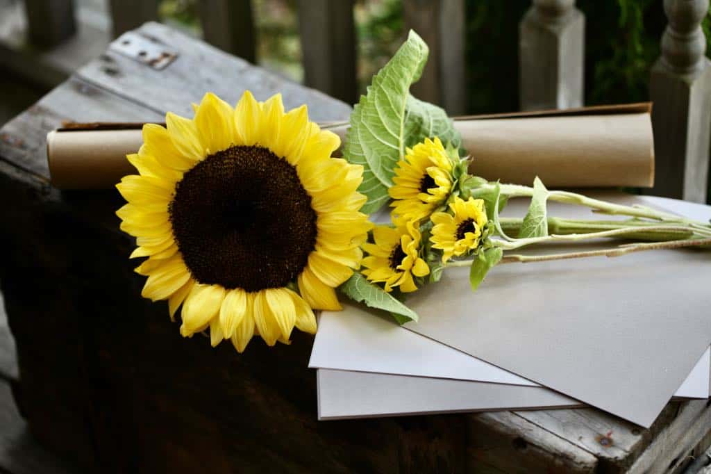 sunflowers and paper on top of a weathered grey box