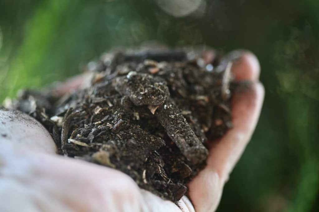 a hand holding a handful of compost to add to the garden