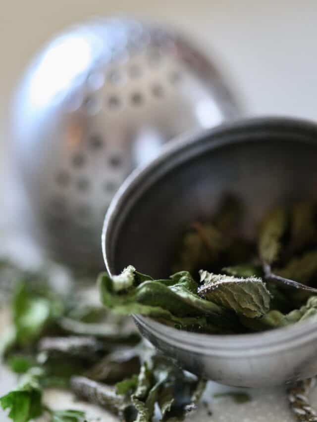 Drying Mint Leaves For Tea