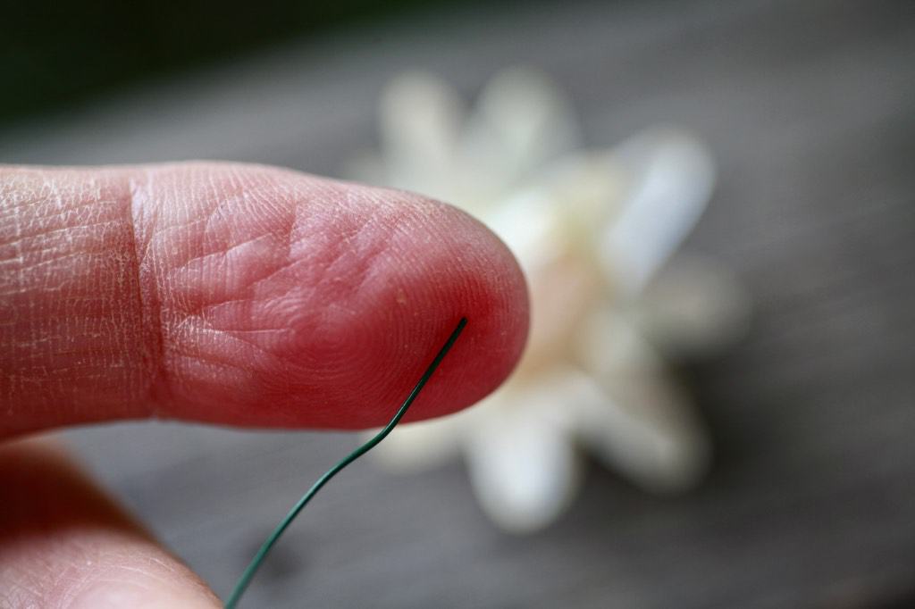 a finger with a floral wire for wiring a strawflower bloom, which is blurred in the background
