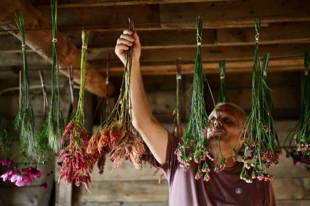 drying flowers