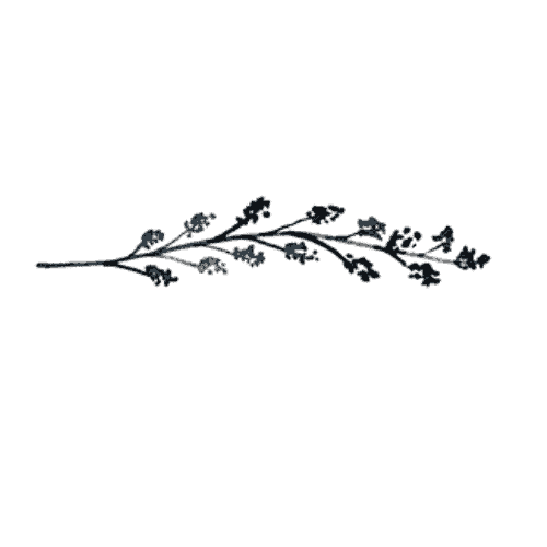 Chey Mullin logo