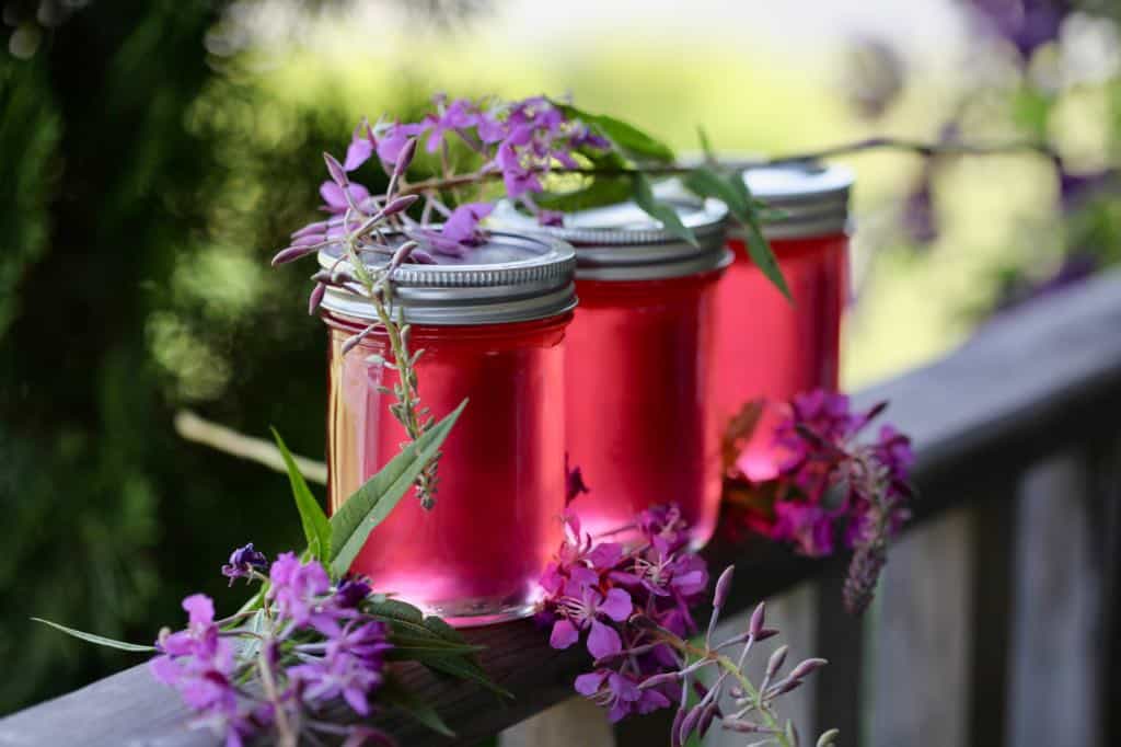fireweed jelly in mason jars